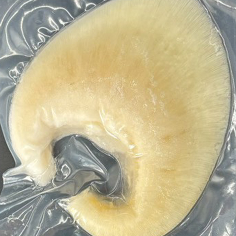 仙台珉珉のフカヒレについて