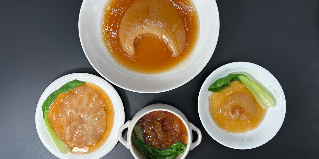 フカヒレについて