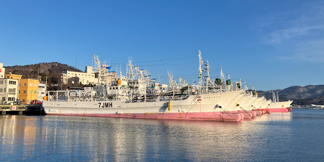 フカヒレについて