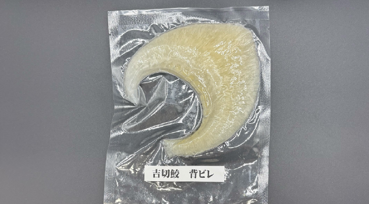 吉切鮫　背ビレ