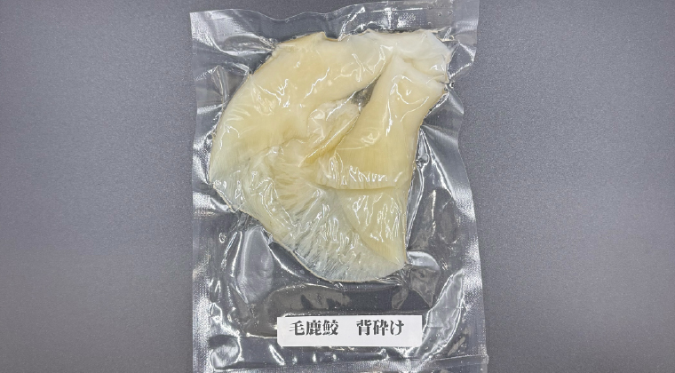 毛鹿鮫　背砕け