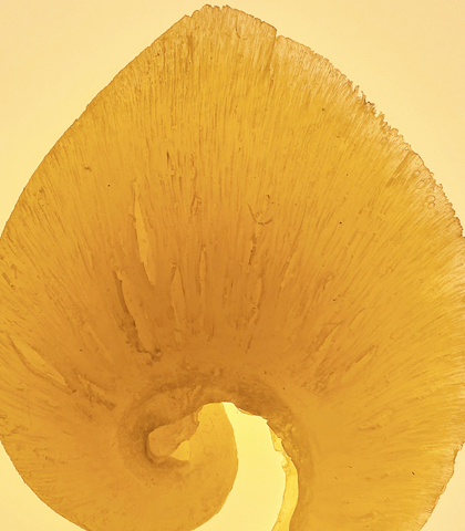 商品ラインナップ